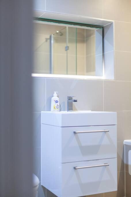 Charming & Large 1-bedroom In The Heart Of Appartement *
